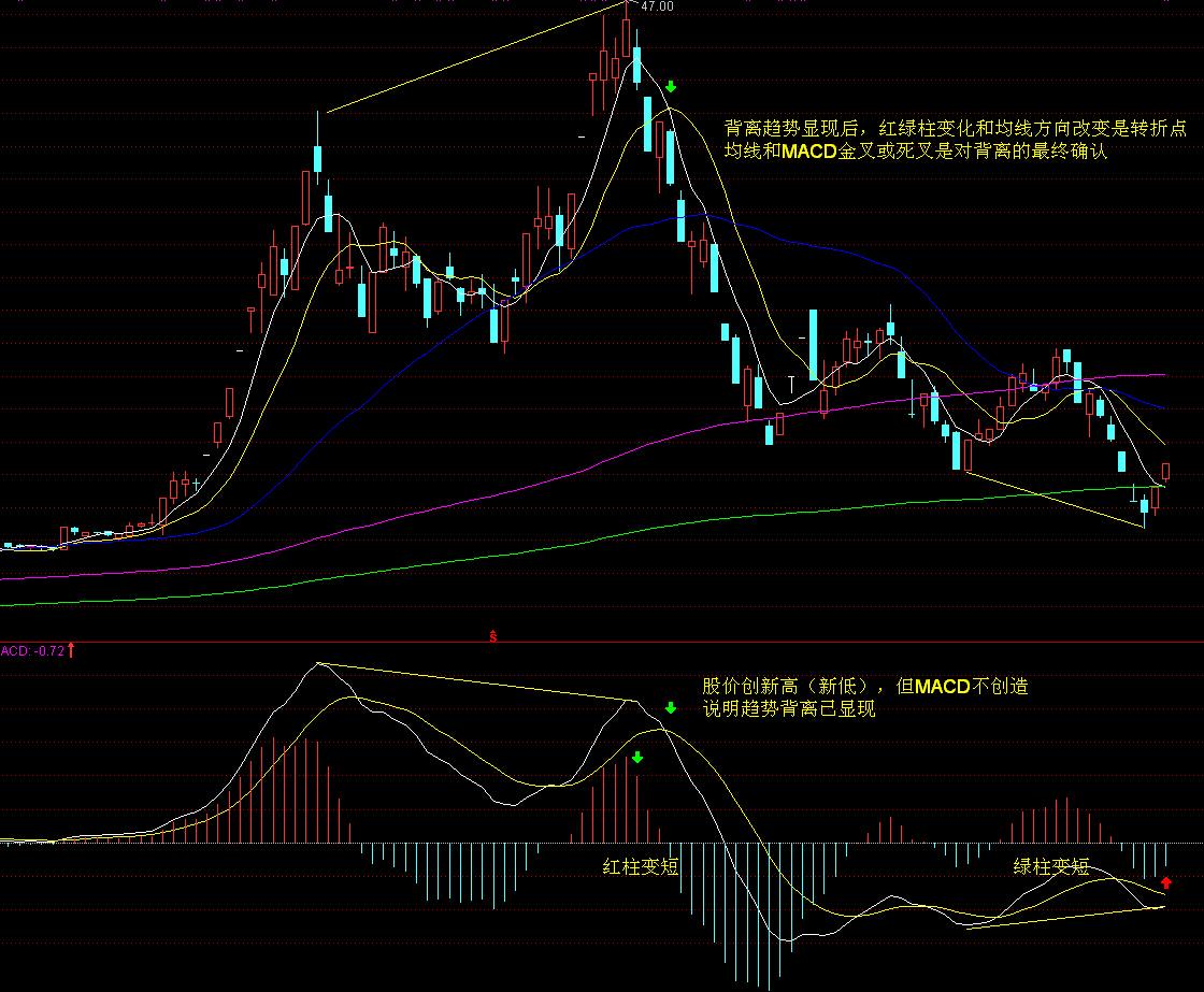 泰康人寿2024年报披露:深耕新寿险,开拓高质量发展新局